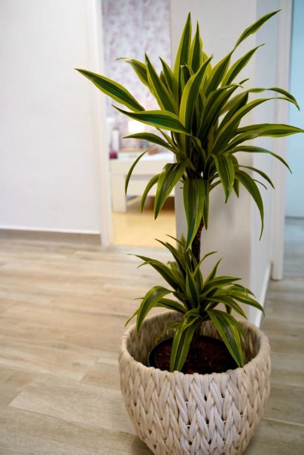 For 6 + Free Parking Place Apartament